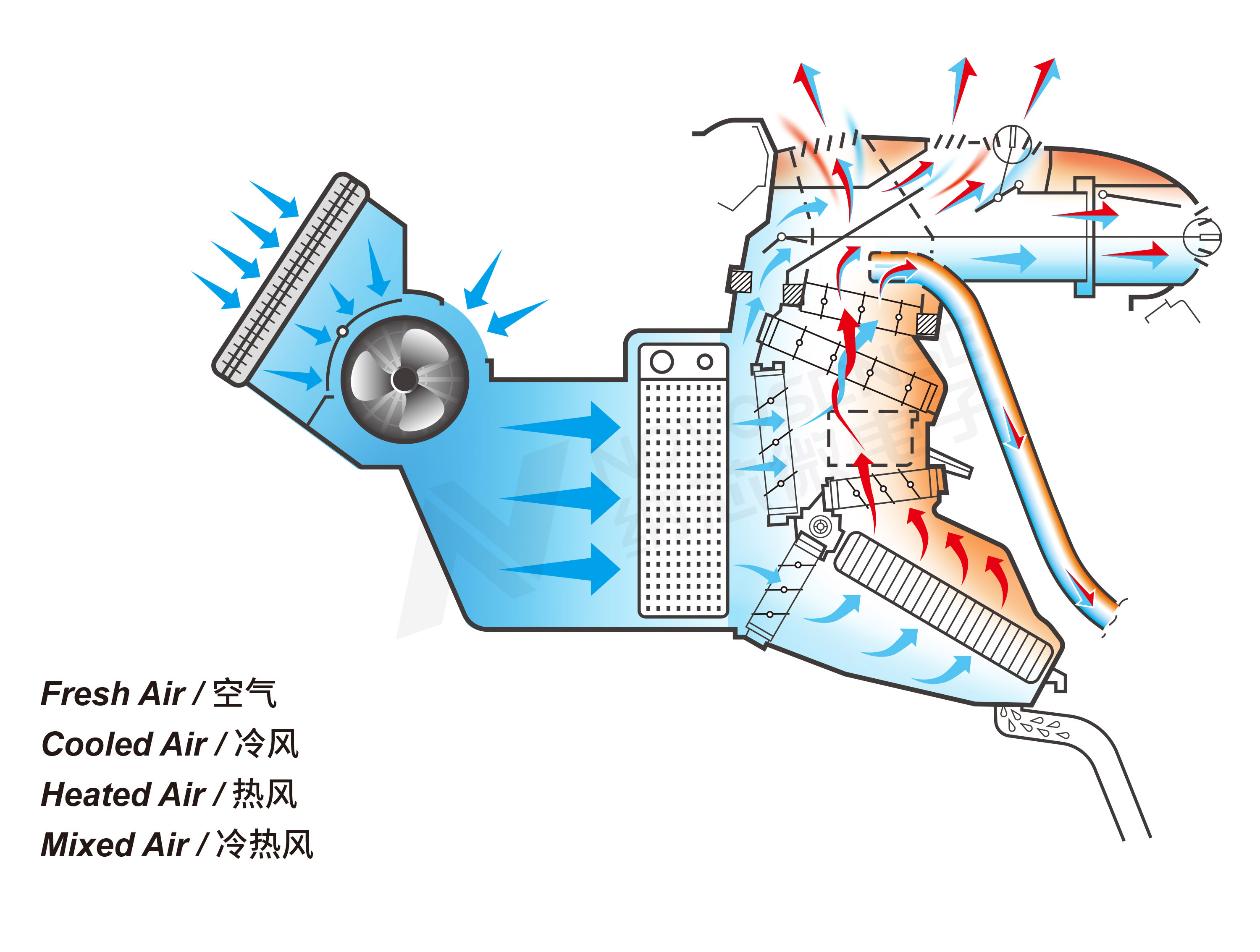 汽车热管理系统 加水印.jpg